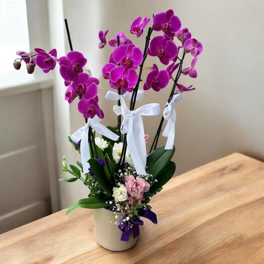 4 Branch Purple Orchid Arrangement