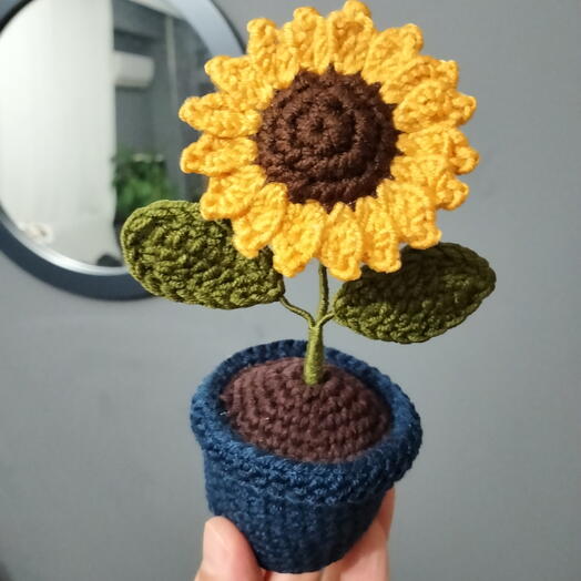 MİNİ SUNFLOWER İN THE POT